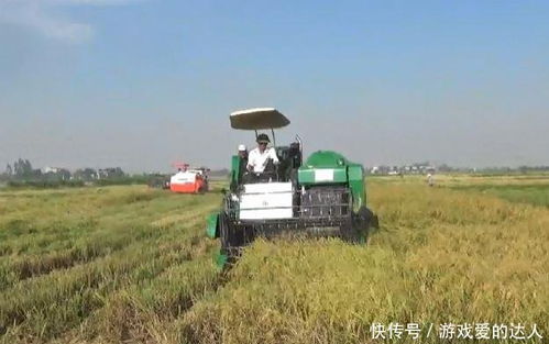 水稻种植全程机械化的实践路径解析